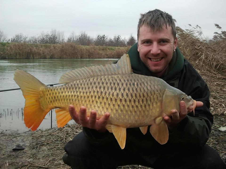 CONCURS LIKE-URI  - VOT PE FACEBOOK  - Dan - Italia
Crap prins in anul 2013